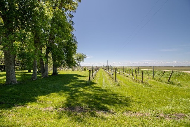 11197 608th Ave, Danville Twp, MN 56068 - view of yard with a rural view
