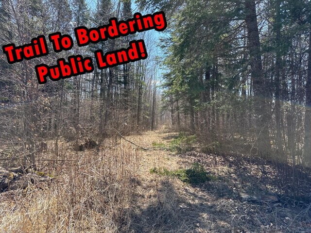 TBD Alfalfa Dr NW, Shevlin, MN 56676