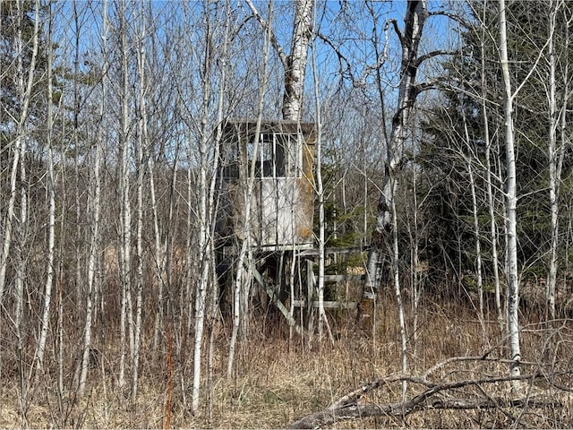 TBD Alfalfa Dr NW, Shevlin, MN 56676