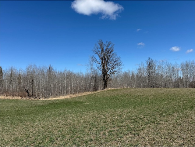 TBD Alfalfa Dr NW, Shevlin, MN 56676
