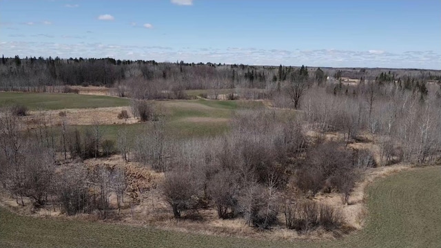 TBD Alfalfa Dr NW, Shevlin, MN 56676