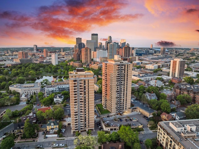 400 Groveland Ave Unit 1512, Minneapolis, MN 55403 - view of city with a nearby body of water