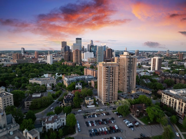 400 Groveland Ave Unit 1512, Minneapolis, MN 55403 - view of city