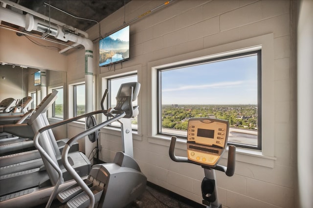 400 Groveland Ave Unit 1512, Minneapolis, MN 55403 - exercise room featuring concrete block wall