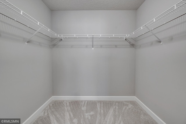 spacious closet with carpet flooring
