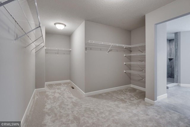 walk in closet featuring carpet flooring