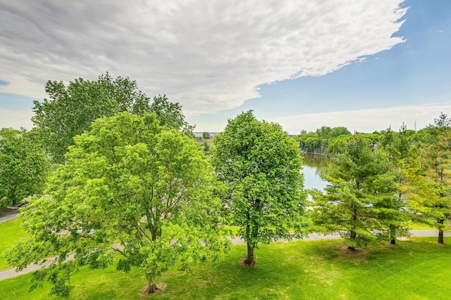 view of nature with a nearby body of water
