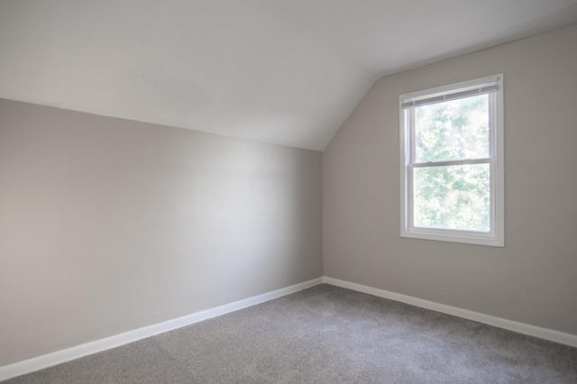 608 7th Ave S, Hopkins, MN 55343 - additional living space with healthy amount of natural light, lofted ceiling, carpet flooring, and baseboards