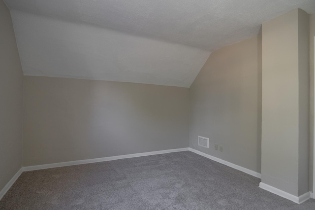 608 7th Ave S, Hopkins, MN 55343 - bonus room with lofted ceiling, dark colored carpet, baseboards, and a textured ceiling