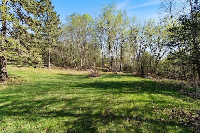 view of grassy yard