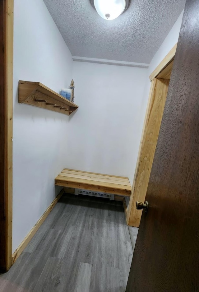 30091 Sunny Beach Rd, Harris Twp, MN 55744 - walk in closet featuring wood finished floors