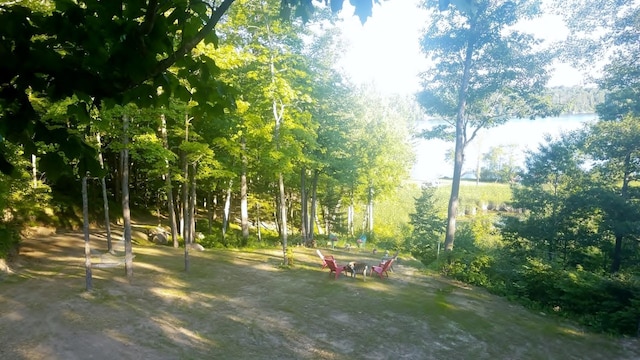 30091 Sunny Beach Rd, Harris Twp, MN 55744 - view of property's community