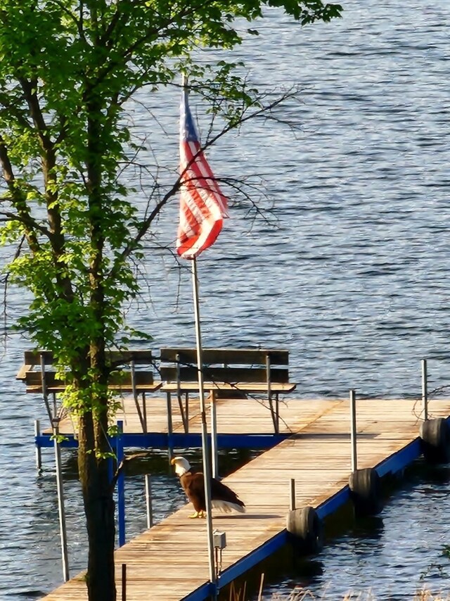 30091 Sunny Beach Rd, Harris Twp, MN 55744 - dock area with a water view