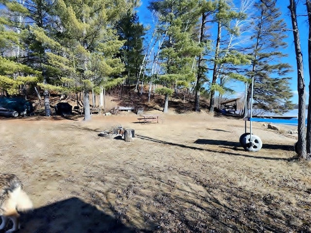 30091 Sunny Beach Rd, Harris Twp, MN 55744 - view of yard