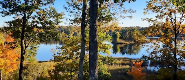 30091 Sunny Beach Rd, Harris Twp, MN 55744 - water view with a heavily wooded area