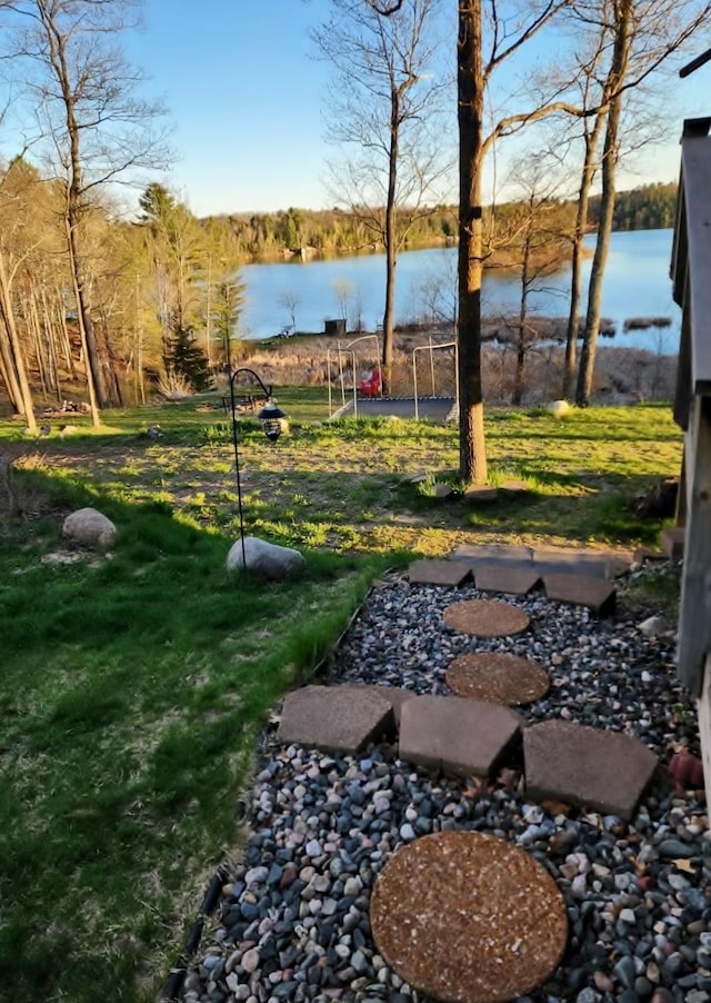 30091 Sunny Beach Rd, Harris Twp, MN 55744 - view of yard featuring a water view