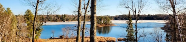 30091 Sunny Beach Rd, Harris Twp, MN 55744 - water view featuring a heavily wooded area