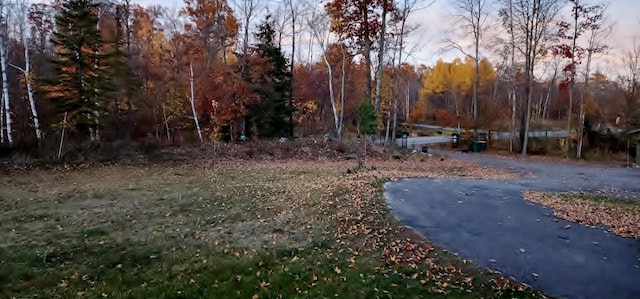 30091 Sunny Beach Rd, Harris Twp, MN 55744 - view of yard