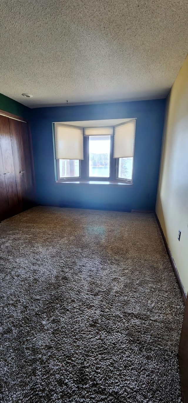 30091 Sunny Beach Rd, Harris Twp, MN 55744 - unfurnished bedroom featuring a textured ceiling, carpet, and a closet