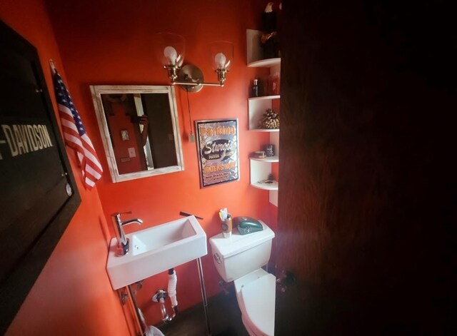 30091 Sunny Beach Rd, Harris Twp, MN 55744 - bathroom featuring toilet and a sink