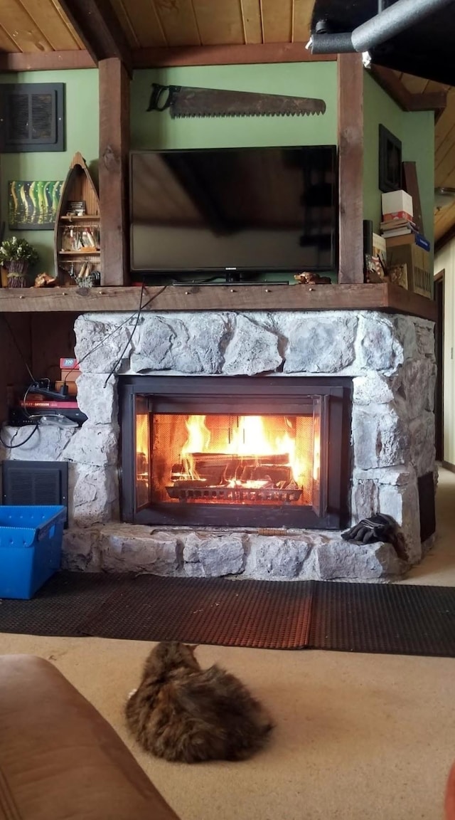 30091 Sunny Beach Rd, Harris Twp, MN 55744 - detailed view of a fireplace and carpet floors