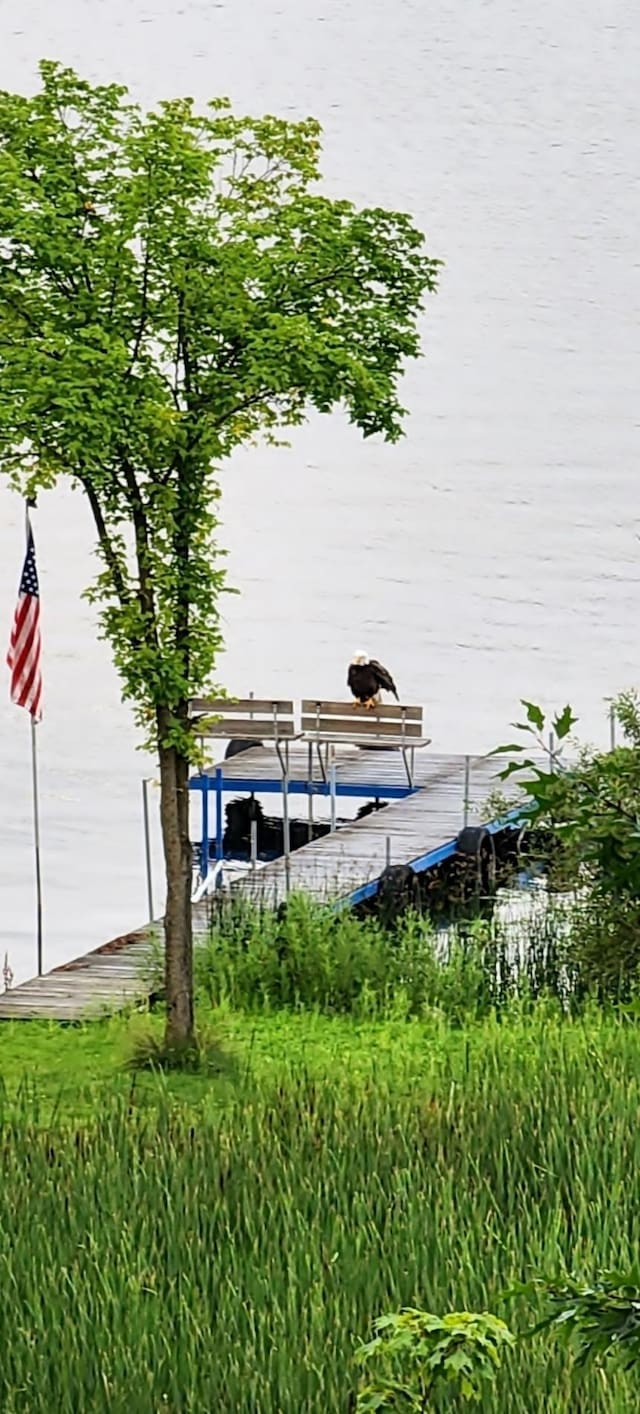 30091 Sunny Beach Rd, Harris Twp, MN 55744 - view of dock
