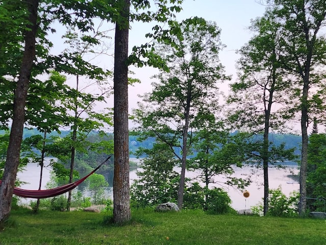 30091 Sunny Beach Rd, Harris Twp, MN 55744 - water view