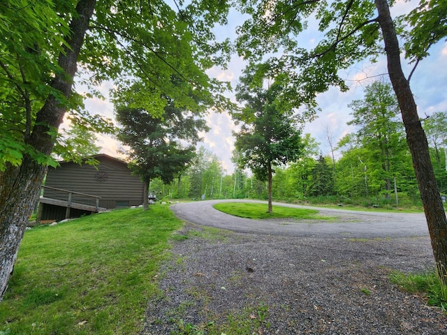 30091 Sunny Beach Rd, Harris Twp, MN 55744 - view of dirt / gravel driveway