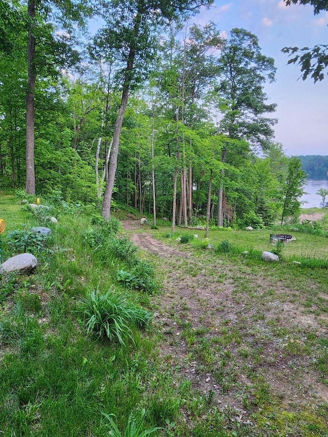 30091 Sunny Beach Rd, Harris Twp, MN 55744 - view of local wilderness
