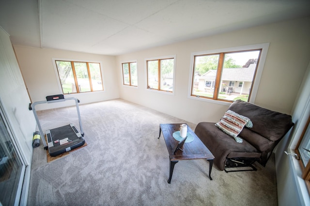 306 Hiawatha Dr E, Wabasha, MN 55981 - living area with carpet