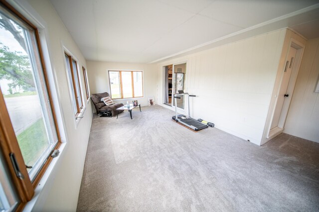 306 Hiawatha Dr E, Wabasha, MN 55981 - view of sunroom