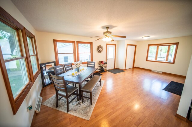 306 Hiawatha Dr E, Wabasha, MN 55981 - dining room with baseboards, light wood-style flooring, and ceiling fan