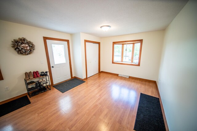 306 Hiawatha Dr E, Wabasha, MN 55981 - entryway with light wood-style floors and baseboards