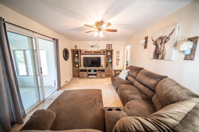 306 Hiawatha Dr E, Wabasha, MN 55981 - living area featuring ceiling fan and light carpet