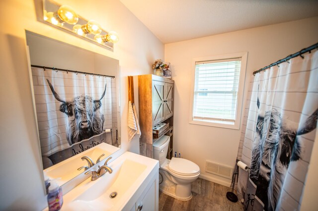 306 Hiawatha Dr E, Wabasha, MN 55981 - bathroom featuring wood finished floors, toilet, and vanity
