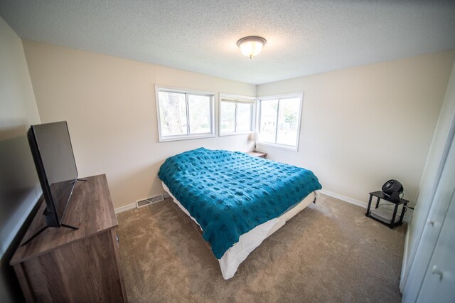 306 Hiawatha Dr E, Wabasha, MN 55981 - carpeted bedroom with baseboards and a textured ceiling