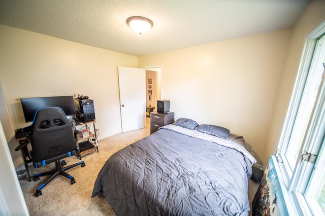 306 Hiawatha Dr E, Wabasha, MN 55981 - bedroom with light colored carpet and an office area