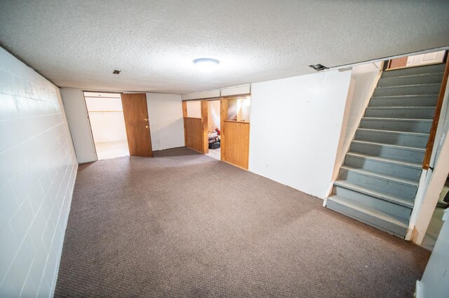 306 Hiawatha Dr E, Wabasha, MN 55981 - finished below grade area with stairs and a textured ceiling