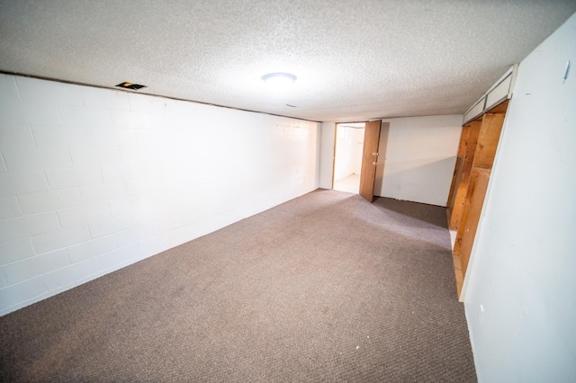 306 Hiawatha Dr E, Wabasha, MN 55981 - finished basement featuring a textured ceiling, carpet floors, and concrete block wall