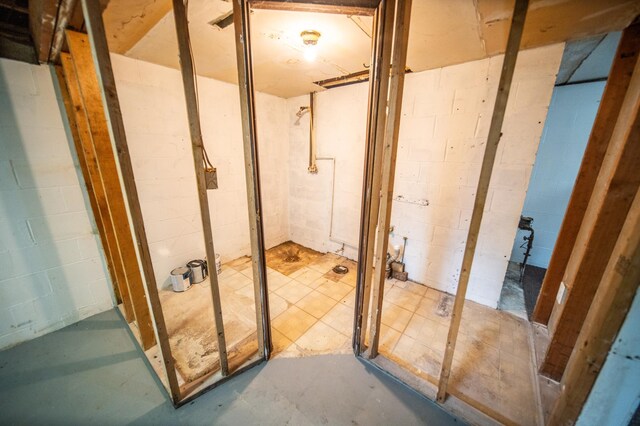 306 Hiawatha Dr E, Wabasha, MN 55981 - view of unfinished below grade area