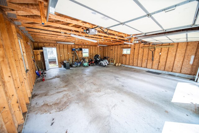 306 Hiawatha Dr E, Wabasha, MN 55981 - garage featuring a garage door opener