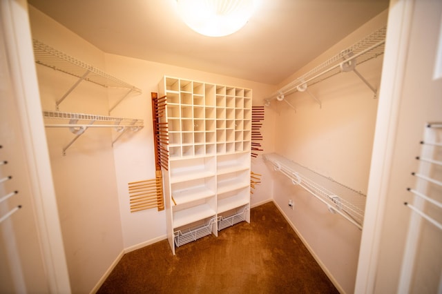 1723 Teton Ln NE, Rochester, MN 55906 - walk in closet with carpet
