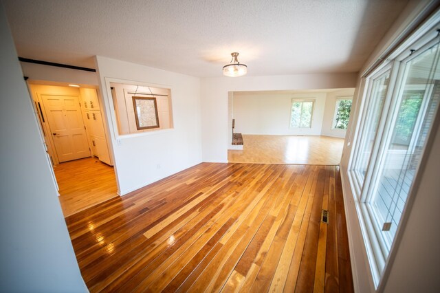 1723 Teton Ln NE, Rochester, MN 55906 - empty room with light wood-style flooring, a chandelier, and a textured ceiling