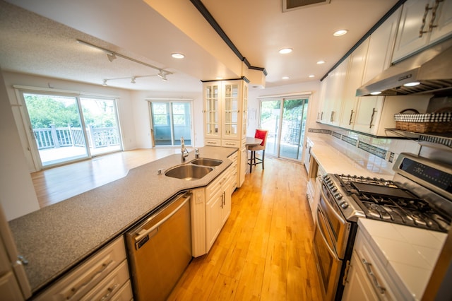 1723 Teton Ln NE, Rochester, MN 55906 - kitchen with appliances with stainless steel finishes, plenty of natural light, a sink, light wood-style flooring, and recessed lighting