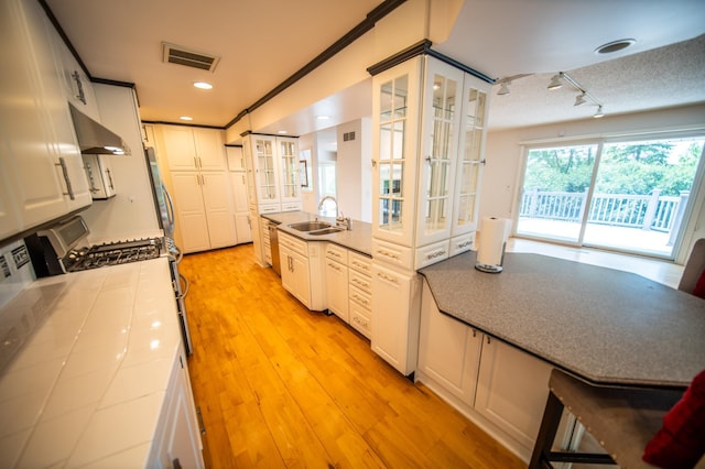 1723 Teton Ln NE, Rochester, MN 55906 - kitchen featuring range hood, a sink, appliances with stainless steel finishes, glass insert cabinets, and white cabinets