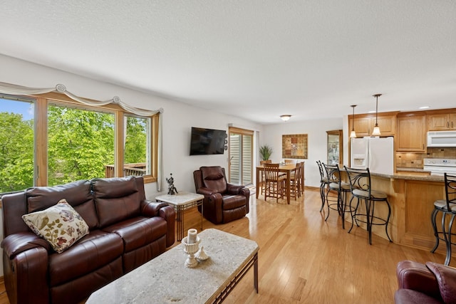 1301 Crestridge Ln, Eagan, MN 55123 - living room featuring light wood-style floors and a textured ceiling