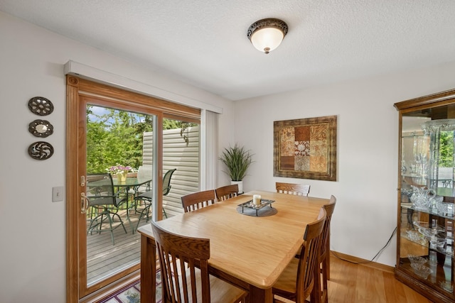 1301 Crestridge Ln, Eagan, MN 55123 - dining area with wood finished floors, baseboards, and a textured ceiling