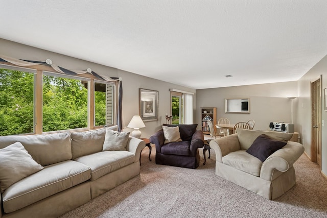 1301 Crestridge Ln, Eagan, MN 55123 - living room with carpet floors