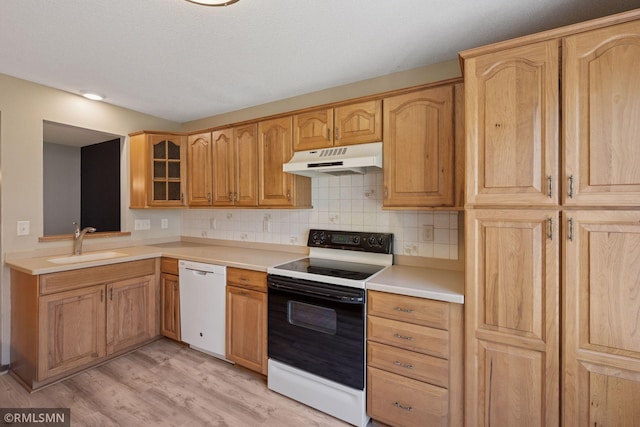 7475 110th St W, Bloomington, MN 55438 - kitchen with electric range oven, under cabinet range hood, dishwasher, a sink, and light wood-style floors