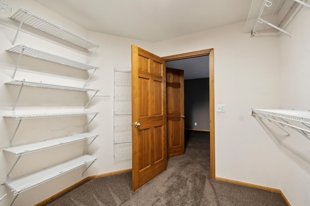 342 Soo Line Rd, Troy Twp, WI 54016 - spacious closet with carpet flooring